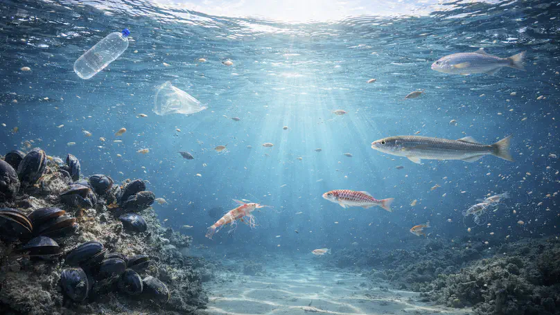 MED-BIO. Assessing the impact of organic contaminants of emerging concern on key marine organisms. MICIU PID2024-160452OB-C22