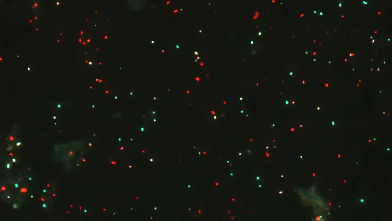 MIMOSA: Unlocking Marine Microbial Seedbank Dynamics. PID2025-176369NB-I00