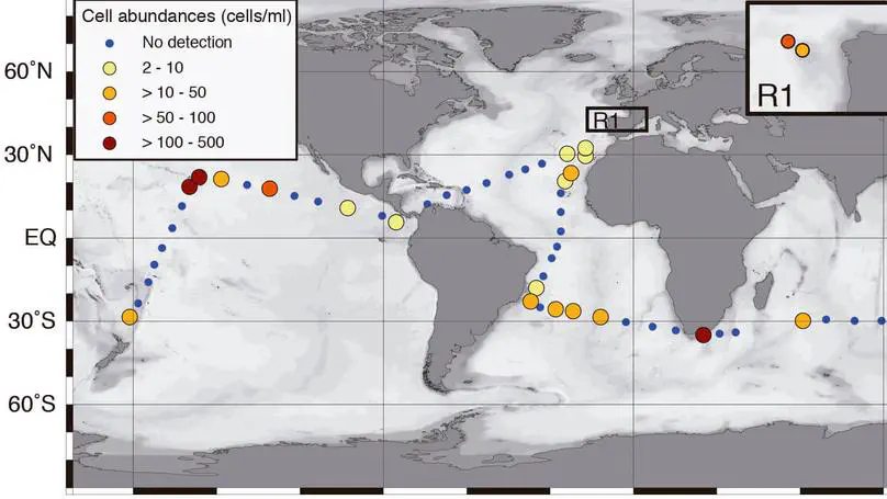 Biodiversity and Biogeography