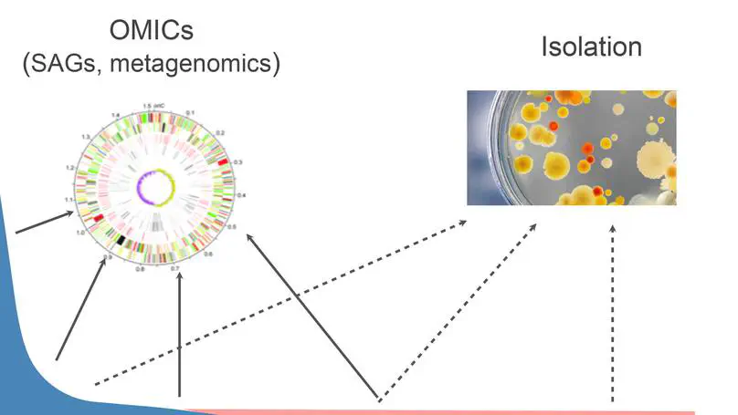 Genes and Genomes: Function and Evolution