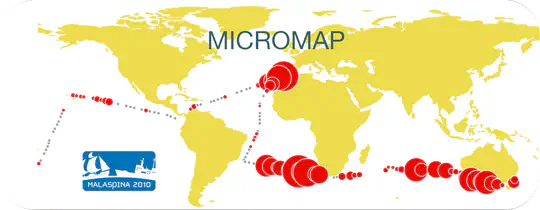 MicroMap